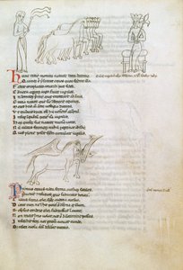 Bestiary: hevonen (muste perunapaperilla) tekijältä European School