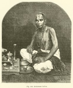 Brahmins Intia (kaiverrus) tekijältä European School