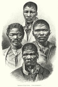 Bushmen of Cape Colony (kaiverrus) tekijältä European School