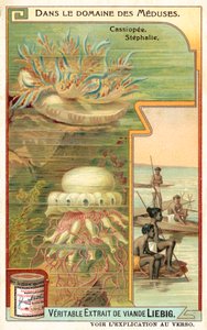 Cassiopeia ja Stephalia (chromolitho) tekijältä European School