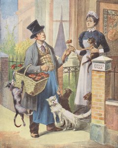 Kissanlihamies, Lontoo (värilitro) tekijältä European School