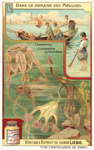 Charybdis ja Pyramidal Lucernia (chromolitho) tekijältä European School