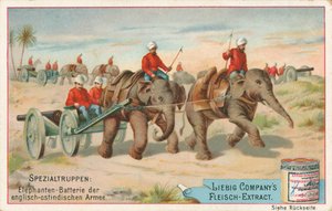 Englantilaisia sotilaita norsujen vetämänä Intiassa, Liebig-kortti, 1900-luvun alku (kromo) tekijältä European School