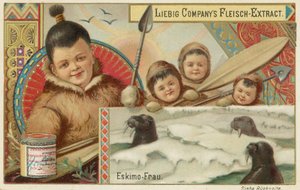 eskimo tekijältä European School