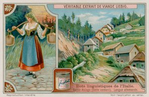 saksaa puhuva Gallio Asiago tekijältä European School