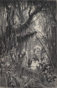 Viidakko Saltan Cordillerassa, Luoteis-Argentiina (litho) tekijältä European School