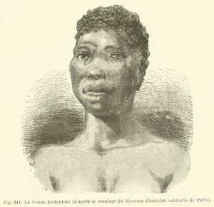 The Hottentot Venus, Pariisin luonnonhistoriallisen museon näyttelijöistä (kaiverrus) tekijältä European School