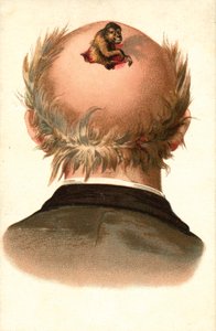 Miehen pää - apina kiipeää ulos (chromolitho). tekijältä European School