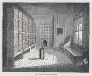 Mr Youngin kasvatushuone (väri litho) tekijältä European School