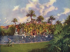 Nizza, La Grotte du Jardin Public (värilitro) tekijältä European School