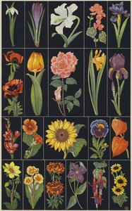 Sivu lasten kuvakirjasta Flowers (värilitografia). tekijältä European School