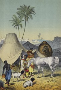 Pohjois-Afrikan ja Arabian ihmiset, eläimet ja kasvit (värilitho) tekijältä European School