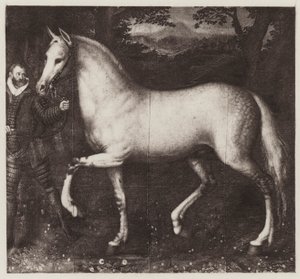 Kuningatar Elisabetin hevonen (litho) tekijältä European School