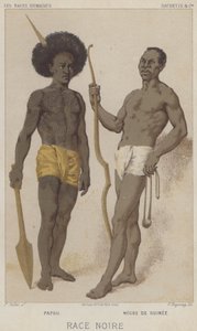 Musta rotu, papua, musta Guineasta (chromolitho) tekijältä European School