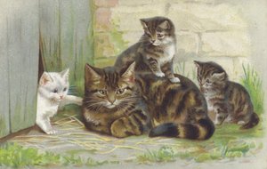 Tabby-kissa ja kolme pentua (chromolitho) tekijältä European School