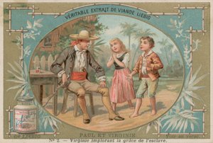 Virginie vetoaa orjan puolesta (kromoliitti) tekijältä European School