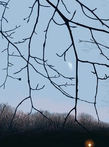 Oksat, aamunkoitto, Prospect Park (digitaalista taidetta) tekijältä Evan Sklar