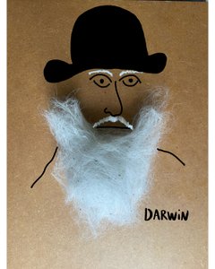 Charles Darwin tekijältä Evan Sklar