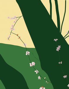 Cherry Blossoms, 2015 (käsin piirretty iPadilla Apple-kynällä). tekijältä Evan Sklar