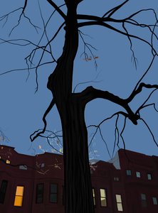 Talot ja puu yöllä, Brooklyn. (digitaalista taidetta) tekijältä Evan Sklar