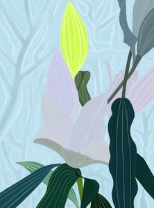 Lily (digitaalista taidetta) tekijältä Evan Sklar