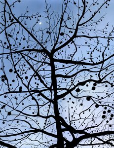 London PlaneTree ja Moon, Brooklyn (digitaalista taidetta) tekijältä Evan Sklar