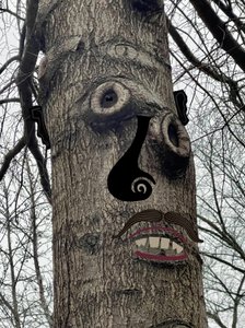 Tree Face , n.2020-24 (digitaalista taidetta) tekijältä Evan Sklar