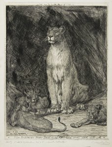 Lioness istuu ja kolme pentua, 1888 tekijältä Evert van Muyden