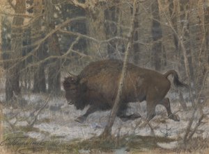 Puubiisoni tekijältä Evgeny Alexandrovich Tichmenev