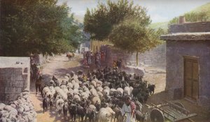 Palestiina, 1930-luku