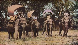 Siam, 1930-luku tekijältä Ewing Galloway