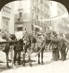 Valmentaja, Calle Mayor, Madrid.