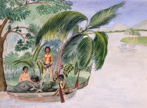 manaatin metsästys tekijältä F. Deiezmann