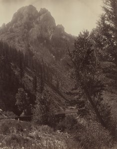 Nimetön, c. 1884.