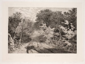 Borrevejlen metsä tekijältä F. Larsen