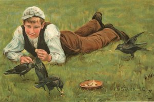 Messikaverit tekijältä F. M. Stark