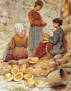 Toscanan olkipalmikot (Trecciaiole)