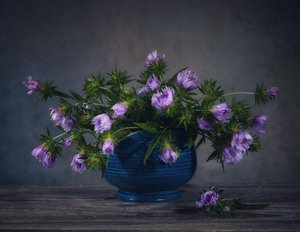 Asetelma laventelinvärisistä ohdakkeista tekijältä Fangping Zhou