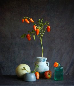 Oranssit tomaatit – maalaismaisen tyylinen asetelma