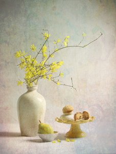 Keltainen forsythia ilahduttaa