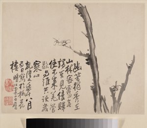  tekijältä Fangying Li