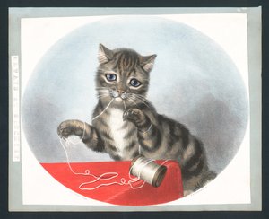 Always at Mischief - viktoriaaninen onnittelukortti (chromolitho) tekijältä Fanny Corbaux