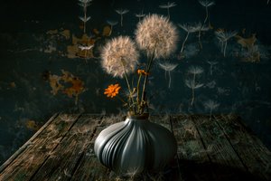 Tunnelmallinen voikukka-asetelma tekijältä Farid Kazamil