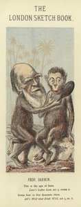 Charles Darwinin karikatyyri