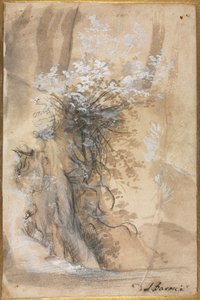 Kukkiva pensas kuluneen pankin yläpuolella, 1565-1570. tekijältä Federico Barocci