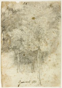 Puiden lehto tekijältä Federico Barocci