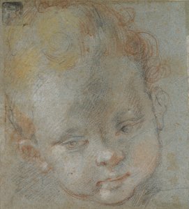 Lapsen pää, 1500-luvun loppu tekijältä Federico Barocci