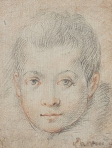  tekijältä Federico Zuccaro