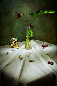 Gothic Skull Vanitas tekijältä Felice Angelino