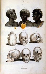 Etiopialaista rotua kuvaava antropologinen kuvitus. tekijältä Felix-Edouard Guerin